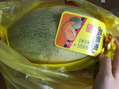 -上海龙吴水胜海发市场