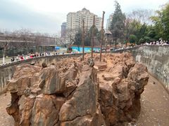 -昆明动物园