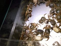 -欢乐牧场海鲜烤肉自助(牡丹园店)