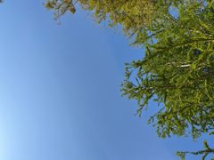 -苏州湾体育公园