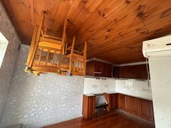 -金山农民画村-枫泾波兰倒置屋