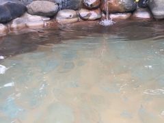 -张家港金凤凰度假村温泉