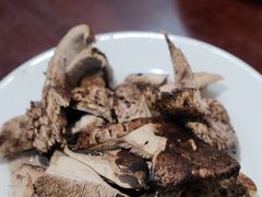 -菌之家·专业纯野生菌火锅·特色炒菌