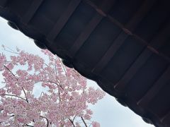 -西安青龙寺遗址景区