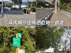 -大梅沙海滨公园