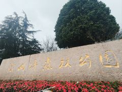 -铁山坪森林公园