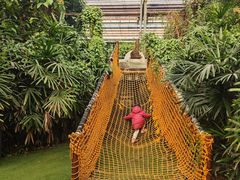 -呀路古热带植物园