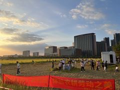 -光明小镇欢乐田园