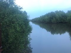 -崖口红树林海鲜餐厅