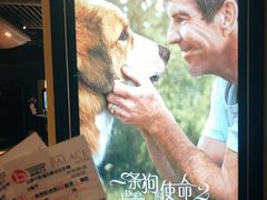 -中影国际影城(东方新天地CINITY店)