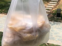 -传说中那条蛋散
