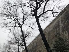 -东水关遗址公园