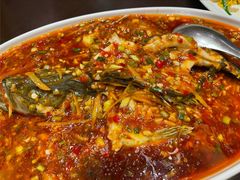 -陈麻婆豆腐总店