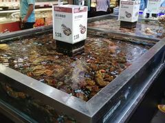 水产区-盒马鲜生(红莲店)