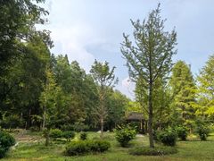 -素山寺森林公园