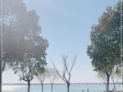-漕湖湿地公园