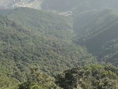 -梧桐山风景名胜区