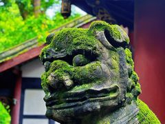 -凤栖山