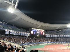 -南京奥林匹克体育中心-体育馆