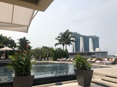 -新加坡文华东方酒店