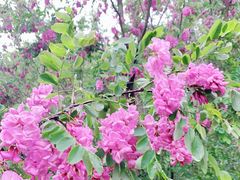 -威海华夏城景区