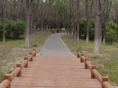 -东郊湿地公园