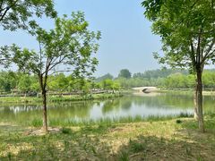 -东郊湿地公园