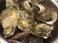 扇贝，生耗，-宾朋海鲜特色美食餐厅·纯手工鲅鱼水饺(兴海路店)