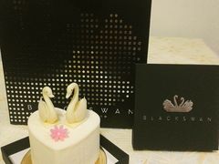 -BLACKSWAN黑天鹅(环球店)