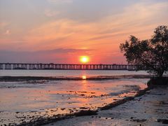 -宝安西湾红树林湿地公园