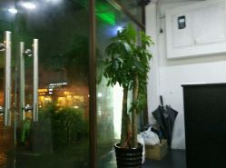 -发饰美男士增发补发假发定制店