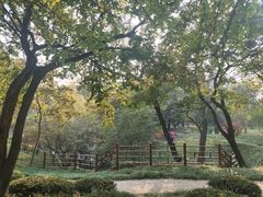 -八大关景区