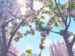 -五大道风景区-常德道孟氏旧居