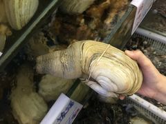 -明记海鲜美食老字号(明记总店)