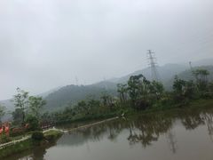 -美的鹭湖森林度假区