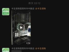 -半岛宠物医院24小时(科华中路店)