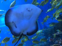 -华夏文旅海洋公园