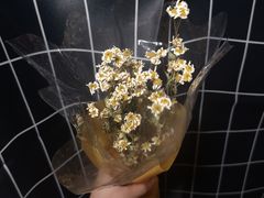 -御亭宫·SPA.按摩足疗头疗养生馆