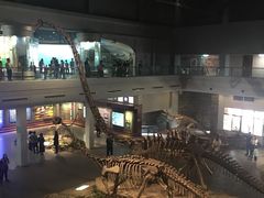 -自贡恐龙博物馆