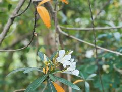 -昆山城市生态森林公园
