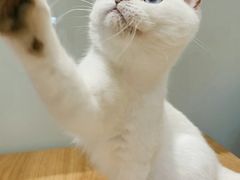 -Pets First伊珊娜洗护·精致美容·家庭式寄养(新会路店)