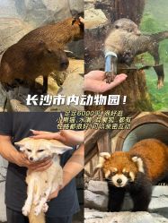 -Zoolung Zoolung动物主题公园(海信广场店)
