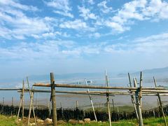 -北岐滩涂
