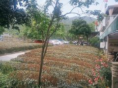 -听风阁农家私房菜茶楼(龙坞店)