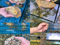 -海之鲜大排档(东山海鲜金銮湾店)