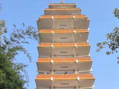 -鹅岭公园瞰胜楼