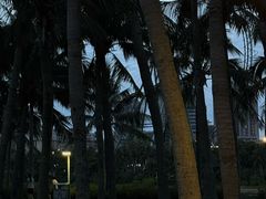-霞山观海长廊