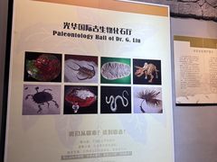-中华赏石园