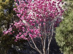 -东华门大街小区