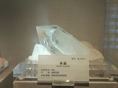 -湖南省地质博物馆